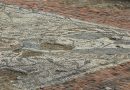 Magnificent Roman Mosaic uncovered in West Berkshire Village Magnificent Roman Mosaic uncovered in West Berkshire Village